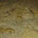 Un paio di scale conducono al primo livello: su una parete in tufo notiamo una conchiglia, inglobata l� nella roccia da chiss� quanti millenni